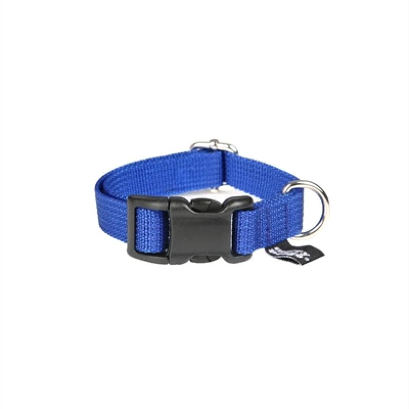 Basic Blue Leash