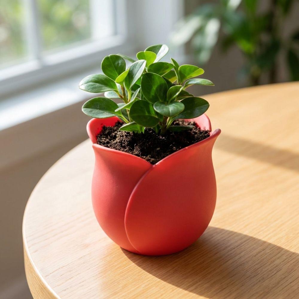 Cute Succulent Plant Basin Plastic 3D Printed Plant Pot Green Onion Pots  Garden Planting