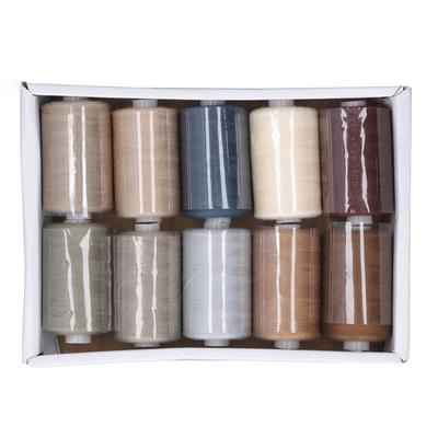 Nähmaschinengarn, 10 Farben, graue Serie, ausgezeichnete Zugfestigkeit, Polyester-Stickwerkzeuge