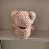 [USED] Pink Teddy Bear