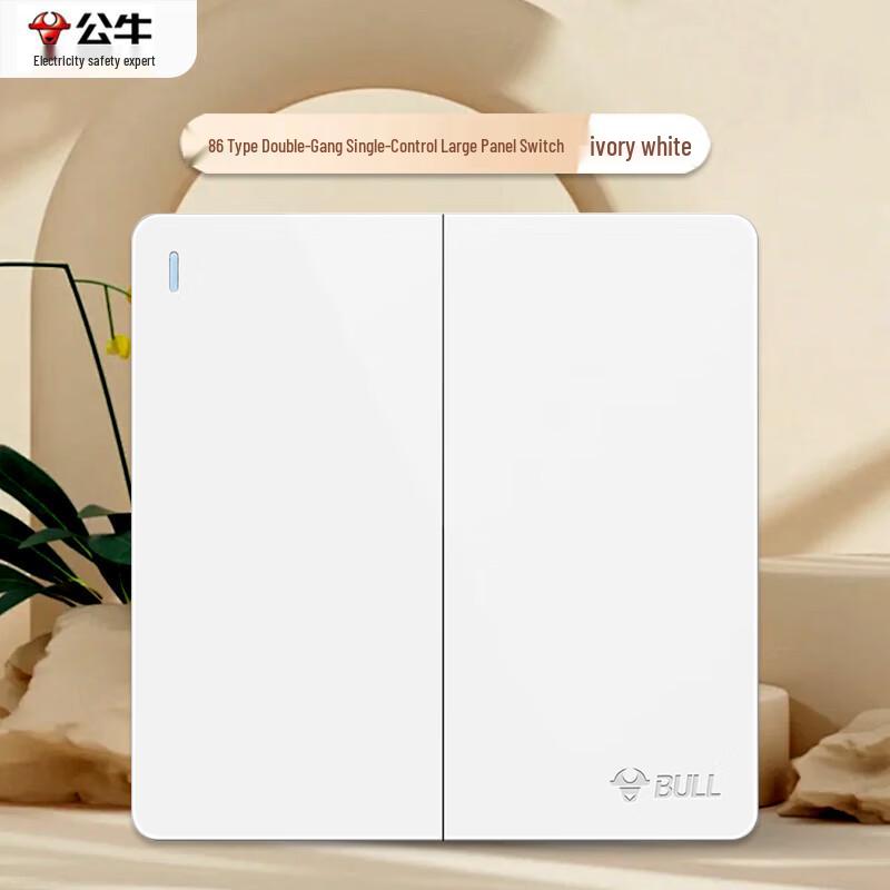 BULL 86-Type 2-Gang 1-Way Wall Light Switch