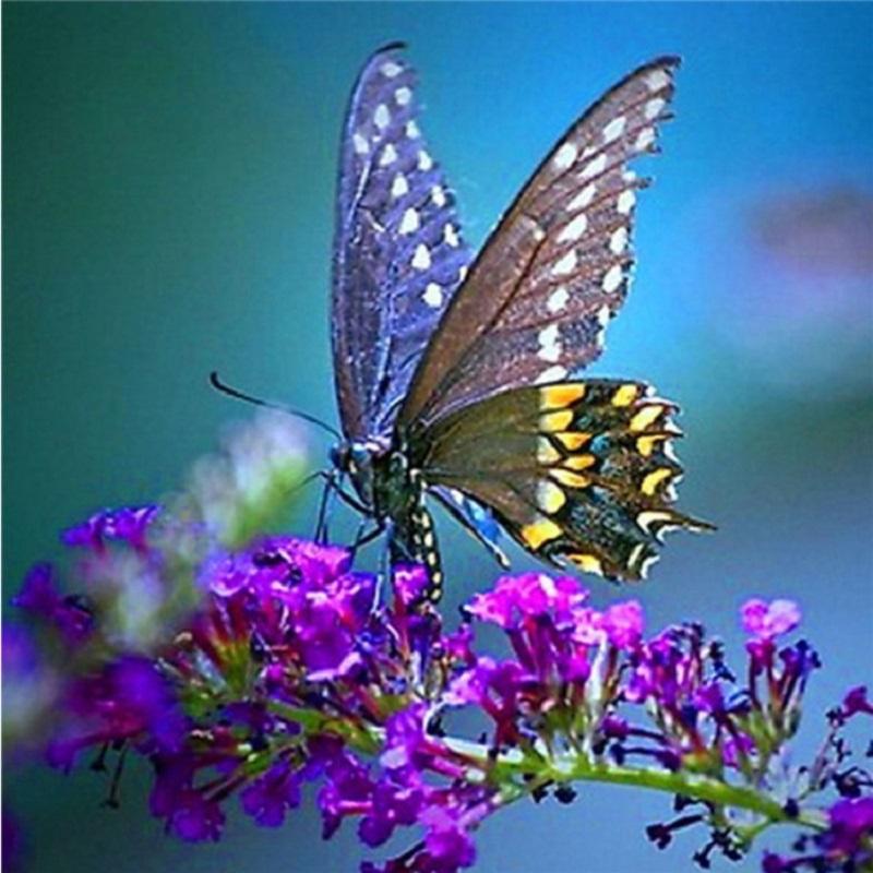 New Arrivals Diamond Painting Full Round Butterfly Cross Stitch Diamond Embroidery Animals Wall Decor Hobby Gift