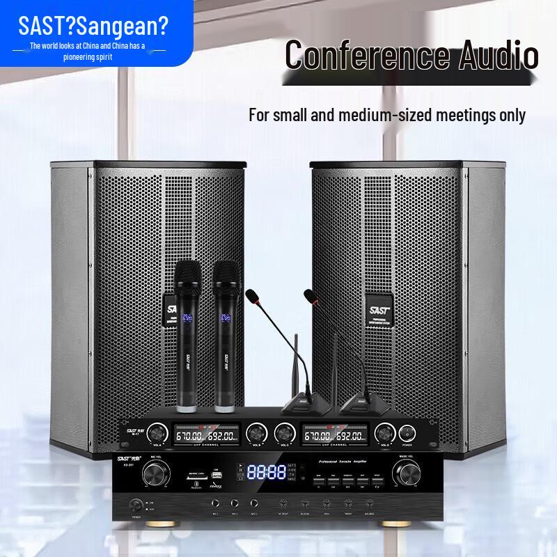 SAST 8-inch Conference Room & KTV Audio System