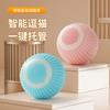 Smart Rolling Ball Toy