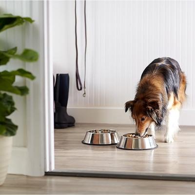 1pc Stainless Steel Dog Bowls with Rubber Bottom,Anti-Slip Heavy Duty Premium Quality Pets Feeder Bowls for Dogs and Cats and More