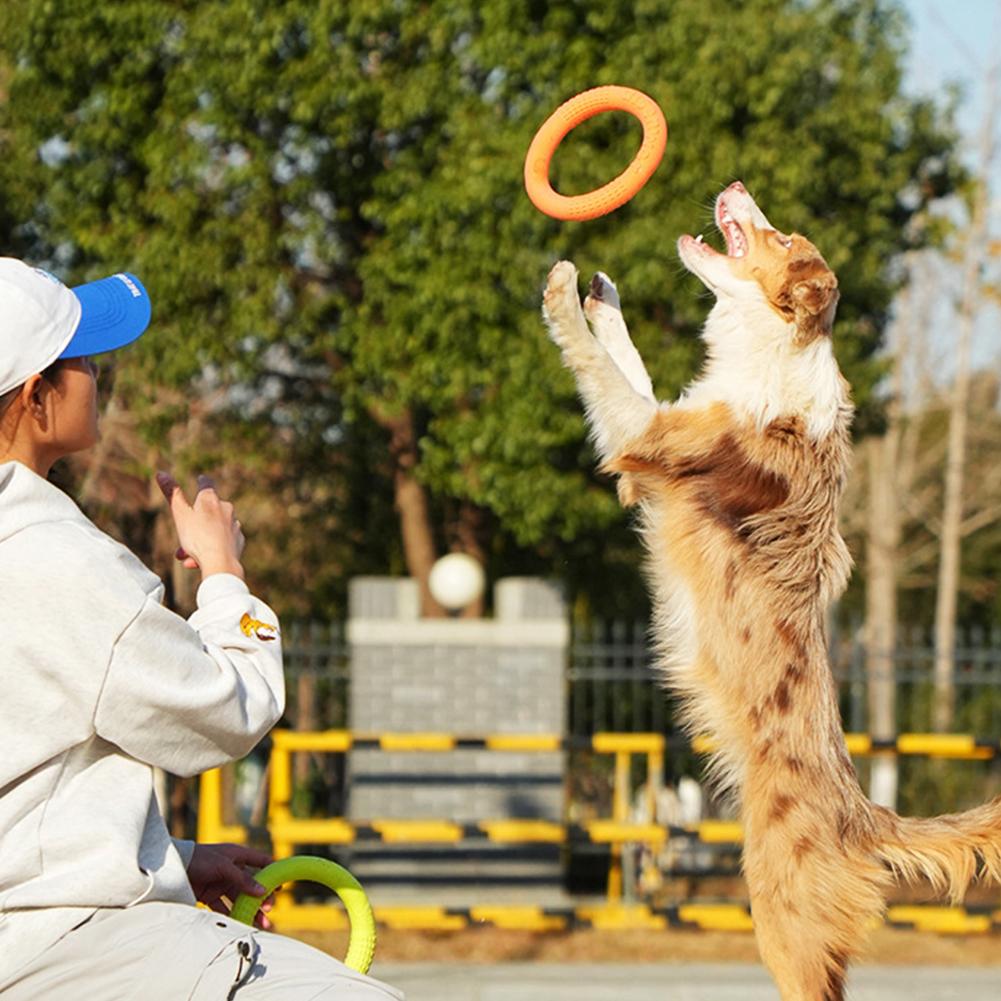 Agility létající kruh pro střední a velké psy Měkký odolný proti žvýkání odolný proti kousnutí Venkovní park Interaktivní trénink domácích mazlíčků Létající kruh