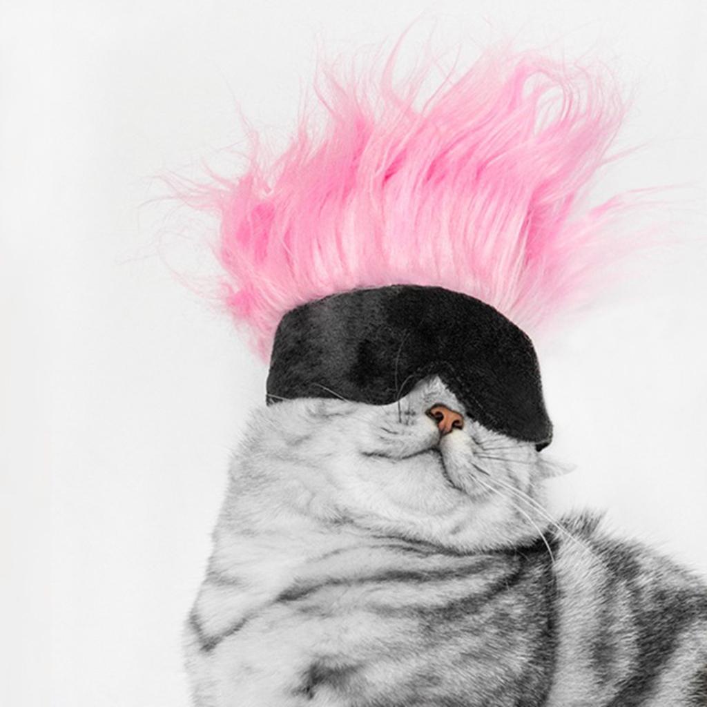 Natural Wig Funny Pet Dog Hair Headwear Curly Hair