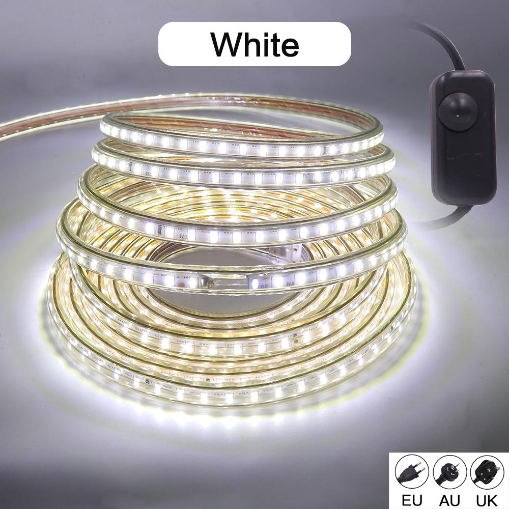 220V LED Strip With Dimmer EU/UK/AU Plug Warm White Blue High Bright 120LEDs/M Waterproof 3104 Ribbon LED Light Home Bar Decor
