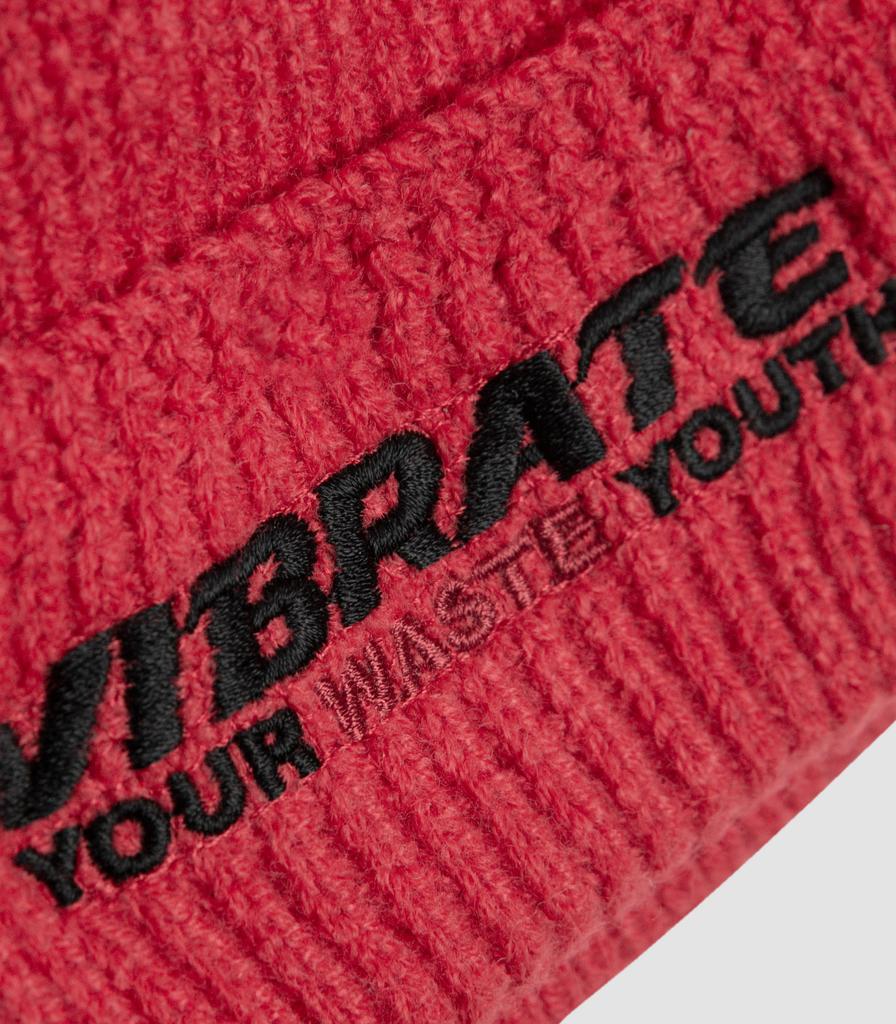 VIBRATE Your Youth Beanie (Red)