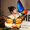 Simulation Butterfly Doll Plush Toy Cartoon Insect Doll Children'S Pillow Rag Doll Room Ornament Props Premium