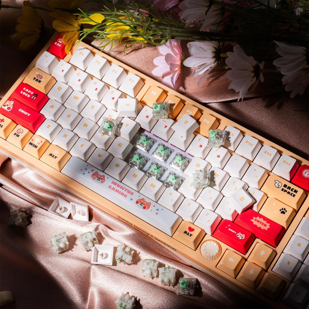 GATERON Baby Kangaroo Keyboard Heavy Tactile RGB LED 5Pin Green 22mm Dual Stage Spring Factory 59gf Key Switch for MX Mechanical 2.0 Switch,