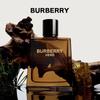 Burberry Hero Men's Fragrance Collection