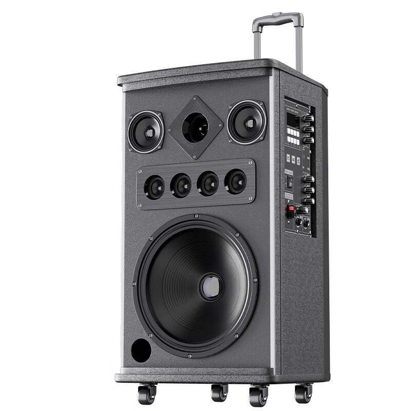 HuiDu WDA-800 Outdoor Portable Bluetooth Karaoke Speaker