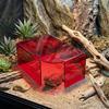 Translucent Lizard Acrylic Shelter Breathable Reptile Hideout Reptile Hide Cave  Pet Breeding