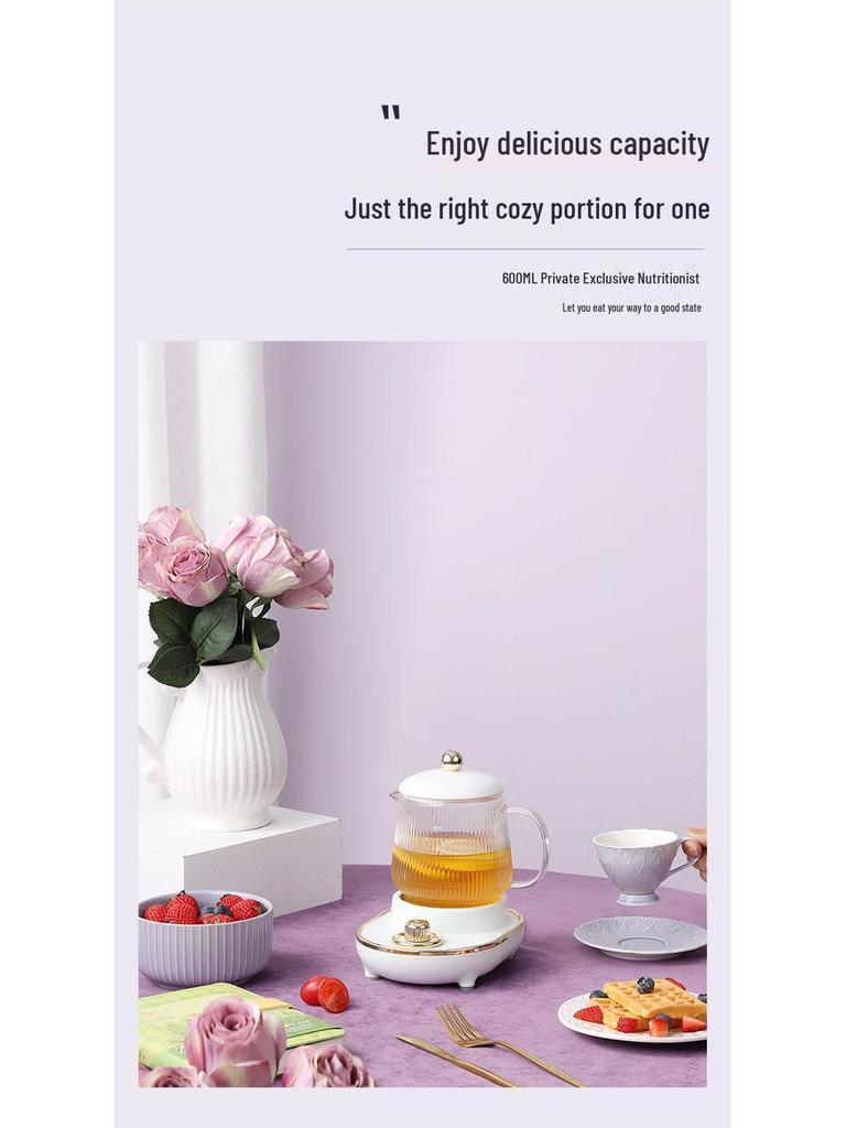 Electric Multifunctional Stew Cup & Kettle: Portable Boiling & Heating for Tea, Bird's Nest, and Health Drinks