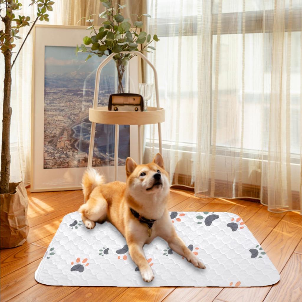 Sunframe 6-pack Washable Pet Pads for Dogs and Cats, Non-Slip, Waterproof, Highly Absorbent, 60x45cm, White
