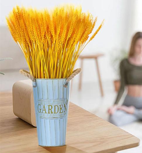 Dried Stems for Floral Arrangements, 100 Home Decor