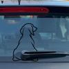 Accesorii de exterior – Autocolante pentru auto