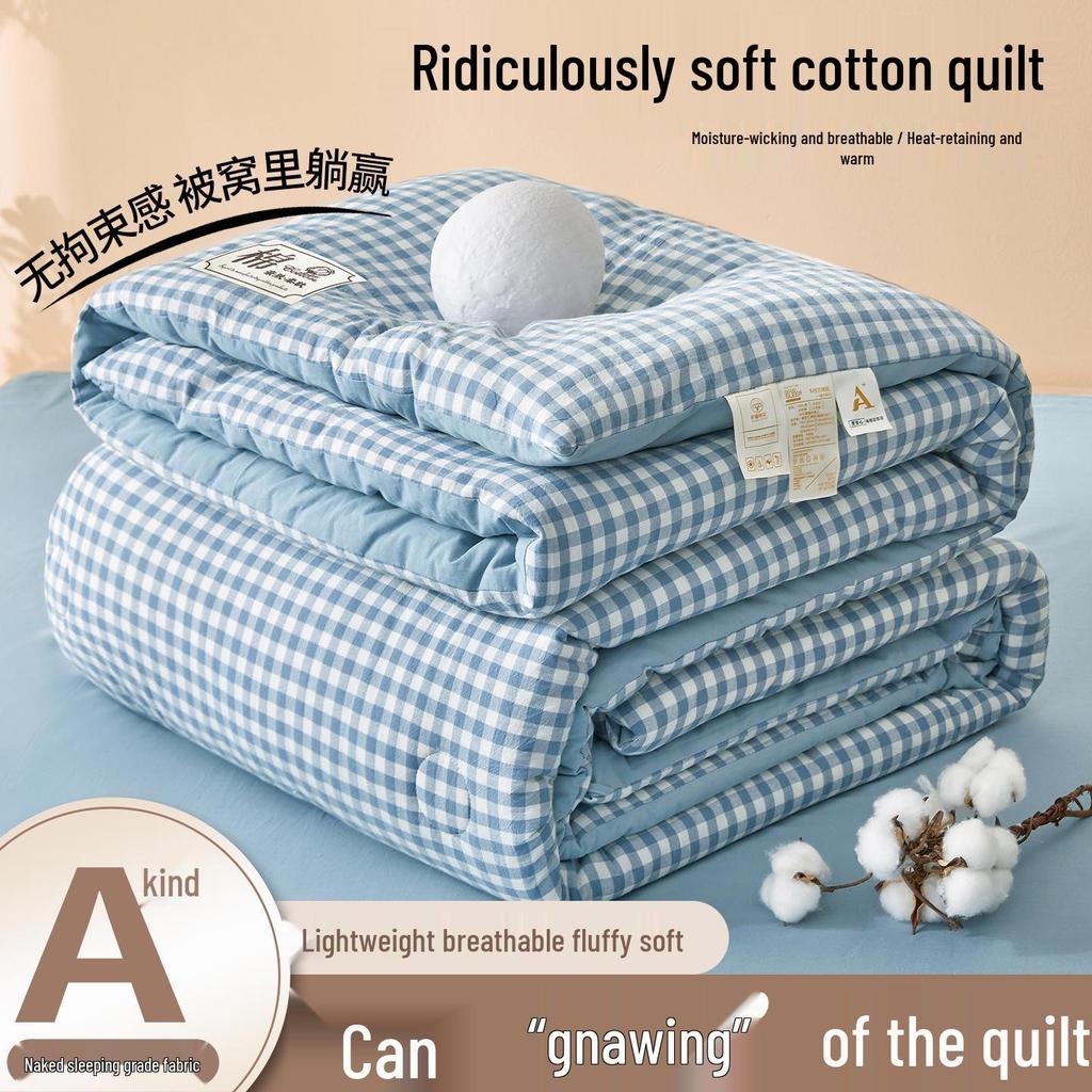 2025 All-Season Quilts: Thick Washed Cotton for Winter, Xinjiang Cotton for Summer, and Versatile Spring/Autumn Comfort