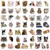 50 Internet Celebrity Cat Emoji Stickers: Waterproof, Perfect for Suitcases, Notebooks, Guitars, and More!