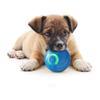 Bite Resistant Interactive Pet Toy Gravity Jump Automatic Rolling Ball  for Cats and Dogs
