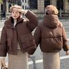 Chaquetas y abrigos – Chaquetas