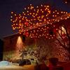 Solar Persimmon and Apple Decorative String Lights