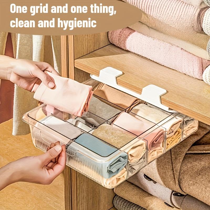 15-Compartment Hanging Underwear Organizer, Plastic Wall-Mounted Storage Box for Socks and Drawers, Space-Saving Transparent Closet Shelf Divider