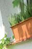 Terracotta balcony box Agro 40 cm