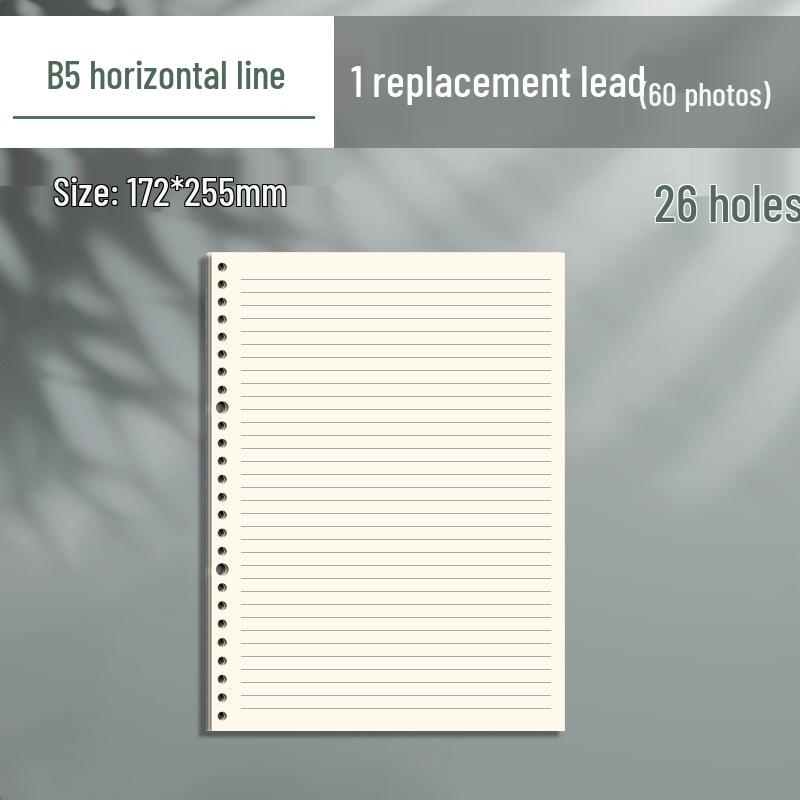 High-Value B5 Ring Binder Diary: Thick, Removable Pages in Minimalist Style