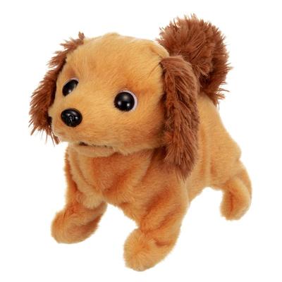 Iwaya (IWAYA) Elektrischer Plüschhund, wedelt mit dem Schwanz, geht, legt sich hin und bellt, Piccoline Miniatur Dackel, ST Mark zertifiziert, Für Alter