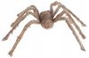 Włochaty Duży Szary Pająk Tarantula Dekoracja Ozdoba Halloween Horror 60Cm