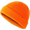 Wool Hat Female Autumn and Winter Yuppie Hooligan Solid Color Melon Rind Male Cold Hat Ins Trendy Knitted Hat