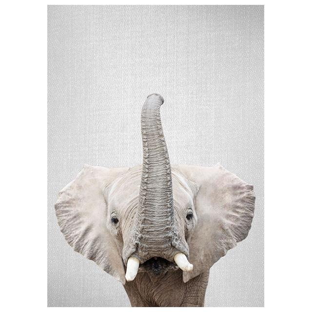 Realistic Furry Animals Cute Prints Poster Canvas Painting Hd Modern Wall Art Pictures For Living Room Bedroom Home Decoration