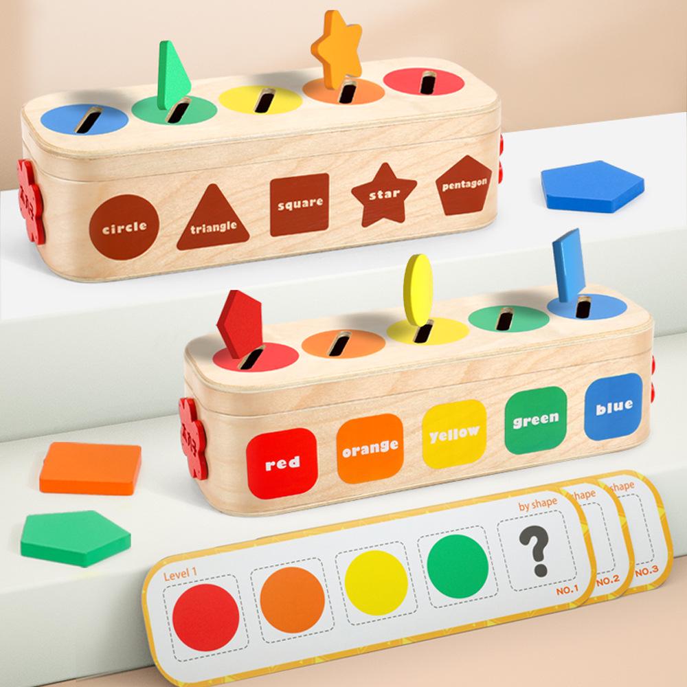 

Montessori Geometric Shapes Color Sorting Toy for Children Ages 2-6