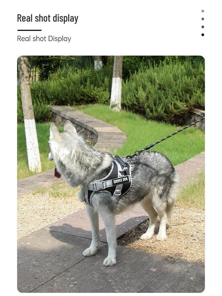 K9 Saddle Style Dog Harness & Leash - Explosion-Proof, Medium/Large Breeds, Border Collie, Golden Retriever