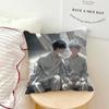 anime fanart a-Alien Stage Ivan Till chibi Comfortable soft Pillow Case for Sofa Living Room Home office Decor Protective Covers