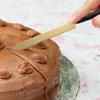 Cake Cutter And Pie Spatula Wedding Cake Cutting Set Pie Server Cake Cutter Knives Pastry Pie Pizza Cutter Cake Knives & Server