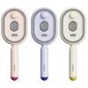 Multi-Function Electric Spray Hair Brush Hair Care 2-In-1 Misting Hair Brush  Gift