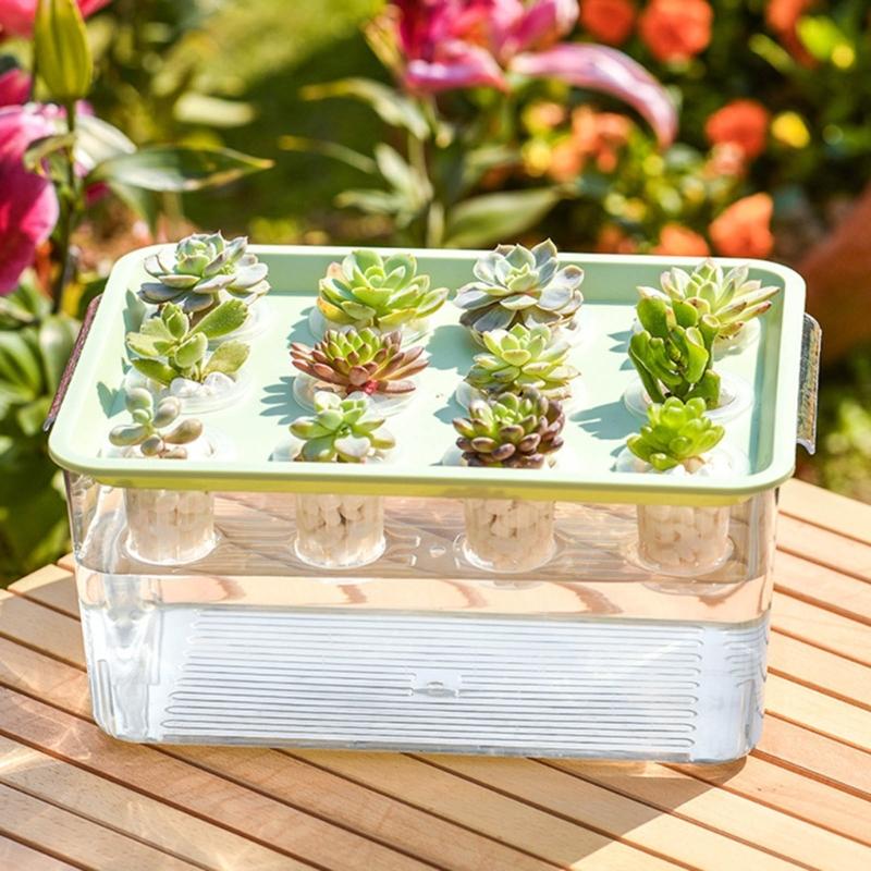 Visible Cultivation Tray Hydroponic Grower Box Container With Lid For Home Vegetables Water Based Gardening And Home Use