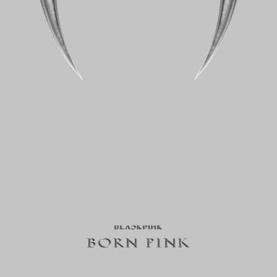 2. ALBUM [BORN PINK] BOX SET [GRAY Ver.]
