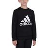 Adidas Kids Sweatshirts Crew Neck Moderate GN4029