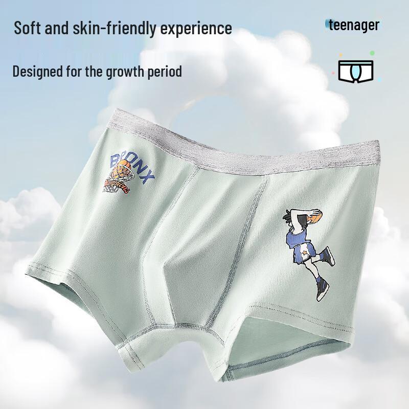 Langsaha Boys' 7A Antibacterial Cartoon Boxer Briefs 4-Pack