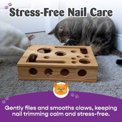 Katzenkratzspielzeug Holz Katzenkratzpuzzle Enrichment-Box Sichere Nagelfeile Kratzbox für Wohnungskatzen Unterhaltung Gesundheit (Montage erforderlich)