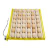 360° Automatic Egg Roller Rotary Eggs Tray 220V Eggs Incubator 42/56/156 Quail Bird Poultry Eggs Incubator Farm Incubation Tool