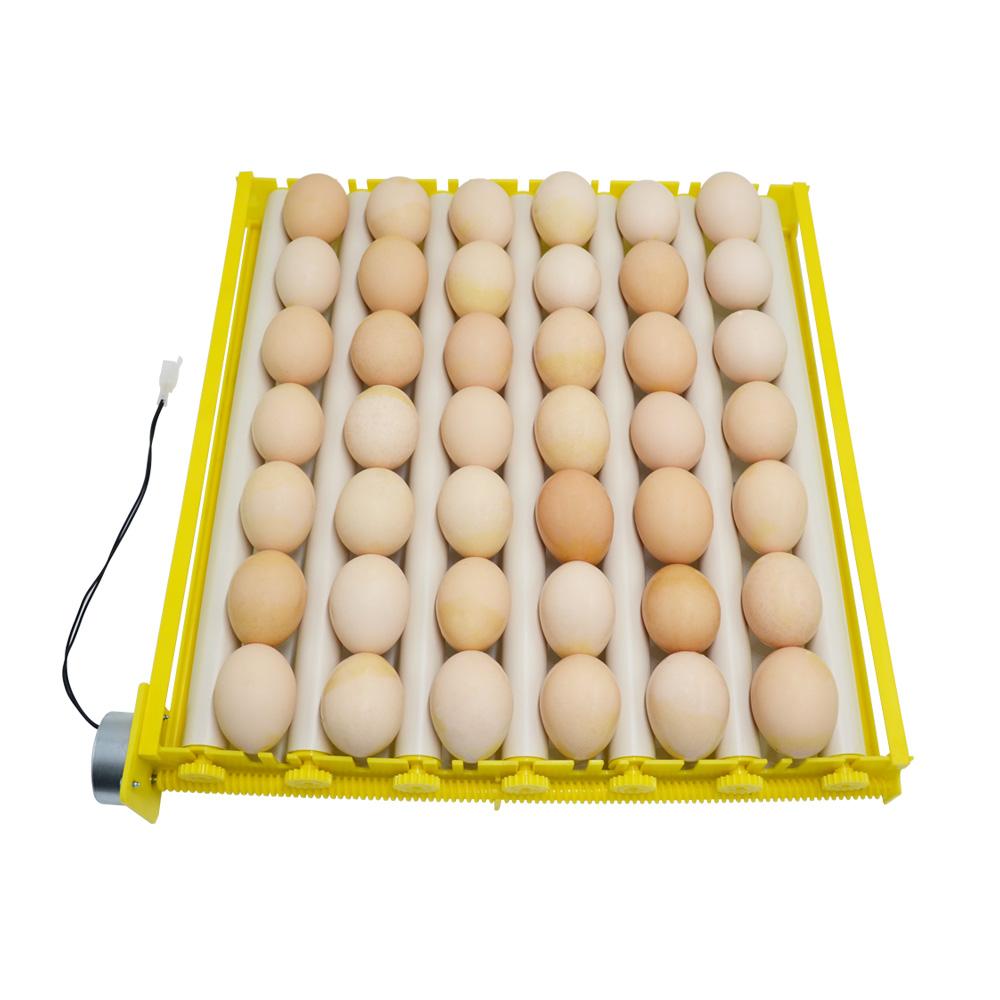 360° Automatic Egg Roller Rotary Eggs Tray 220V Eggs Incubator 42/56/156 Quail Bird Poultry Eggs Incubator Farm Incubation Tool