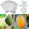 Cross-Border Protective Stainless Steel Mesh Bag: Anti-Rodent, Insect, and Bird Proof for Plants and Fruits.