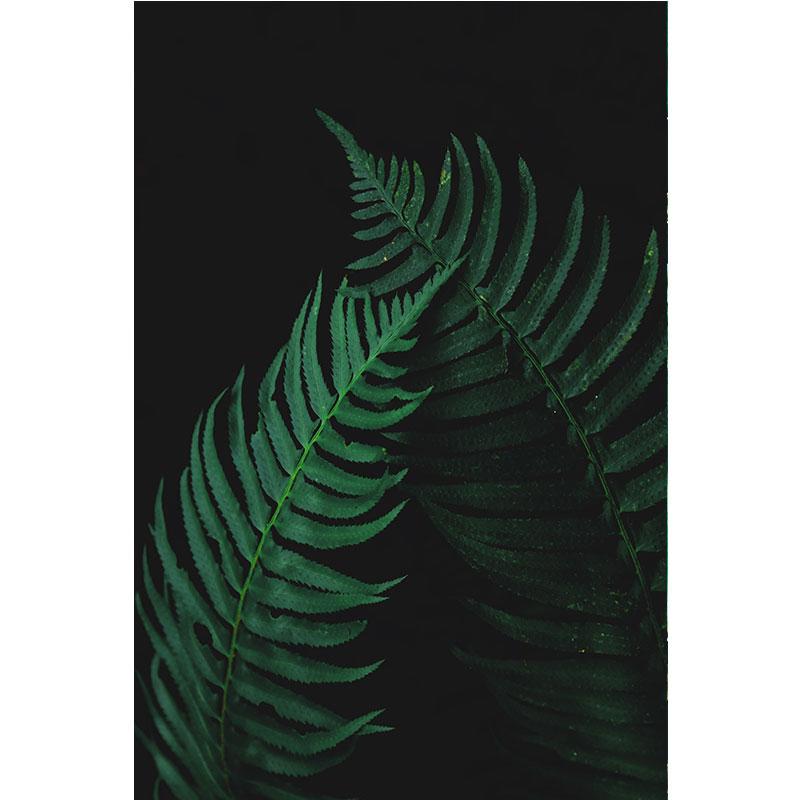 Modern Nature Canvas Painting Green Leaves Paintings Plant Pictures Tree Posters Prints for Living Room Decor Cuadros Wall Art