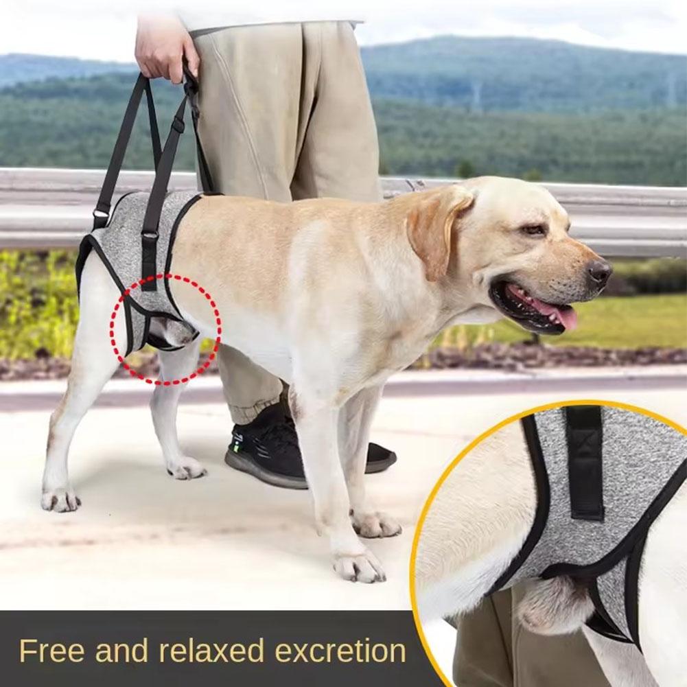 Adjustable Dog Lift Harness Leg Hip Support Pet Rear Leg Support For Old Disabled Joint Injuries Dog Back Leg Hold Pet Acce E4G6
