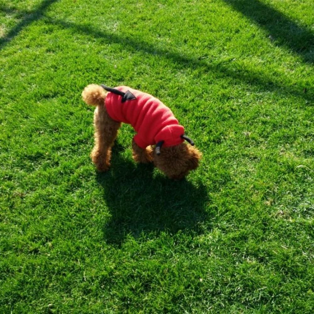 Winter Autumn Halloween Pet Clothes Casual Easy On Off Dog Sweatshirt Bright Color Warm Dog Costume Halloween Carnival